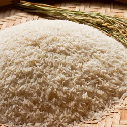 Thuyamali Rice
